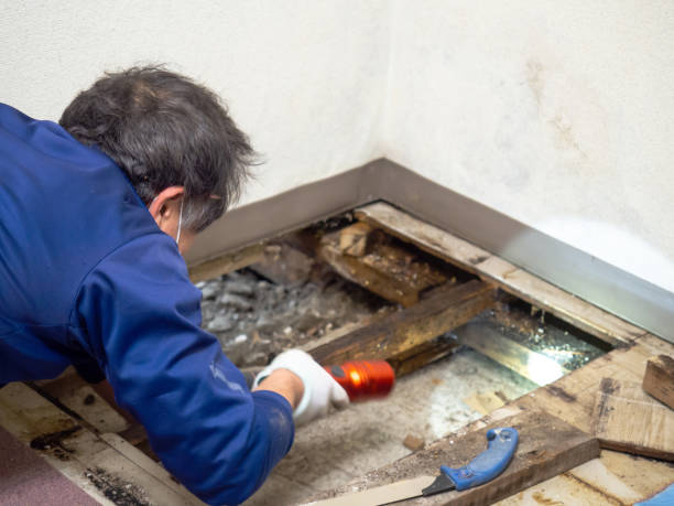 Best Water Damage Restoration  in Lakeland, GA