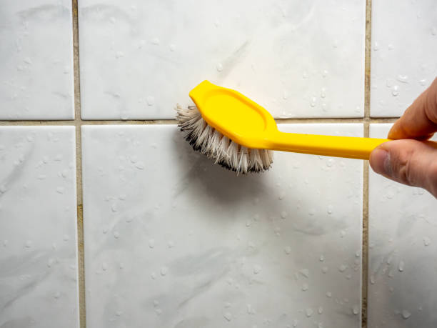 Best Home Mold Removal  in Lakeland, GA