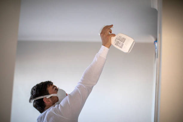 Best Mold Inspection  in Lakeland, GA