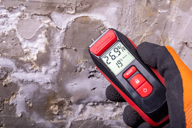 Best Same-Day Mold Removal  in Lakeland, GA