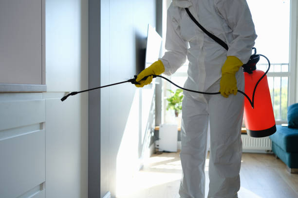 Mold Removal and Inspection in Lakeland, GA