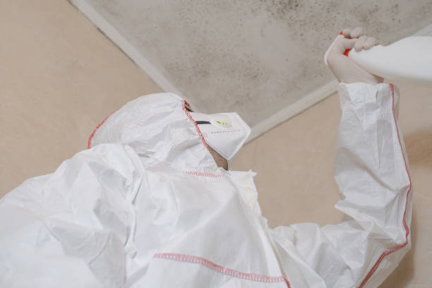 Best Mold Testing  in Lakeland, GA